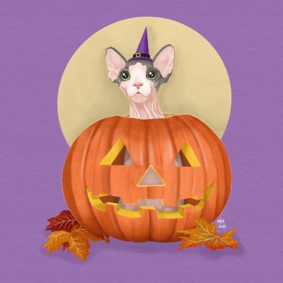 Halloween Witch Cat  2021