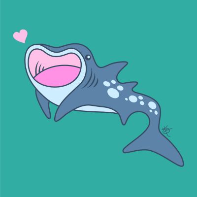 Whale Shark 2017